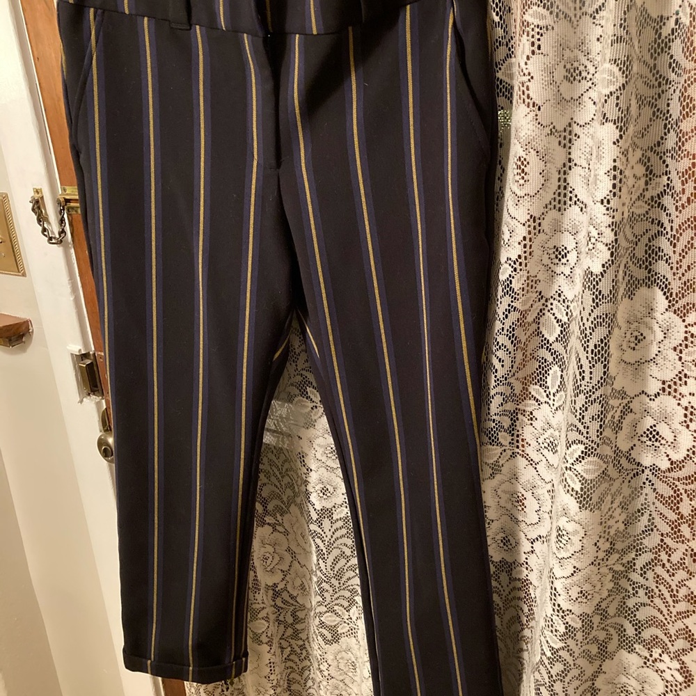 Ann Taylor knicker pants